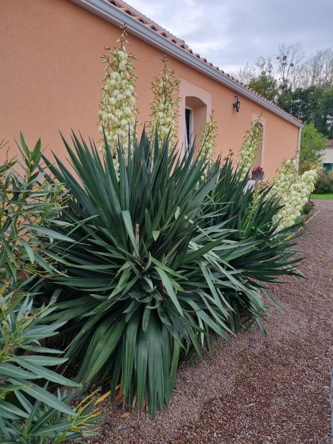 Le Logis Du Marais Bed and Breakfast Les Magnils-Reigniers Exterior foto